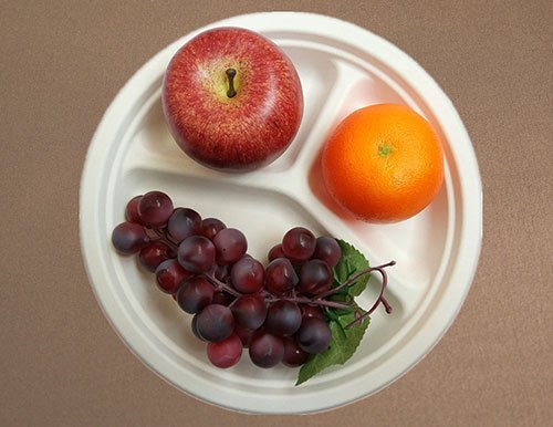 環(huán)保甘蔗渣餐盤